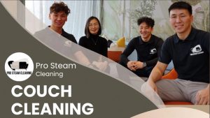 Pro Steam Cleaning
