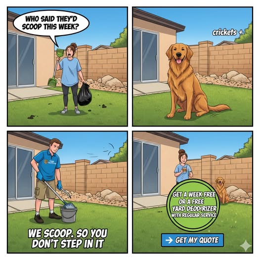 TidyBlock Poop Refresh