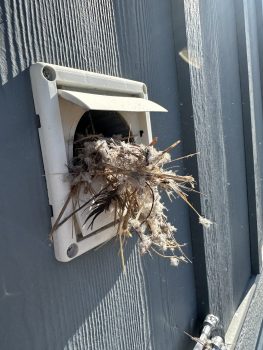 Proactive Home Maintenance